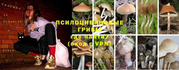 спайс Балахна