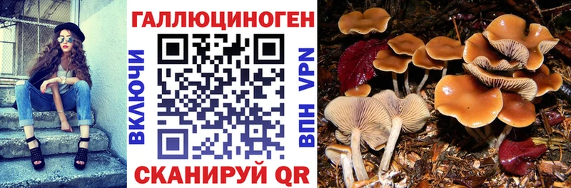Галлюциногенные грибы Magic Shrooms  сколько стоит  это официальный сайт  Верхоянск 