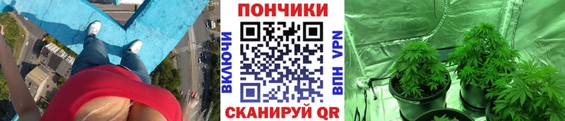 Марихуана индика  цены   Верхоянск 